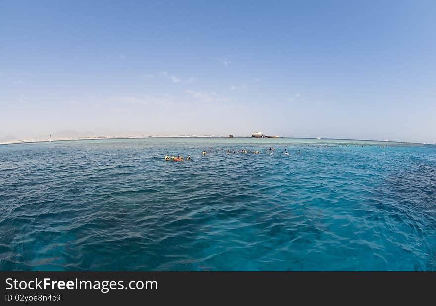 Snorkelers exploring the clear Red Sea.