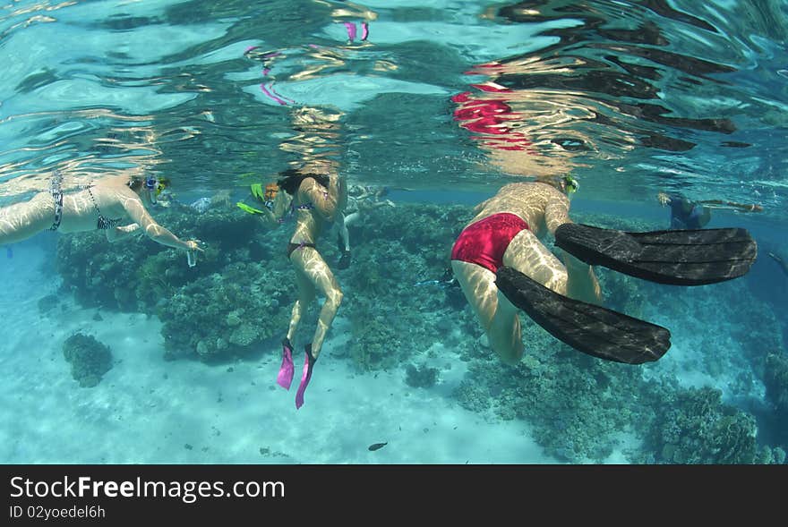 Underwater view of snorkelers in clear water.