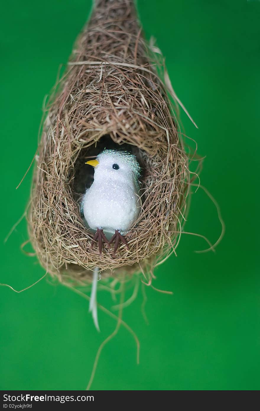 White bird in nest isolated on green