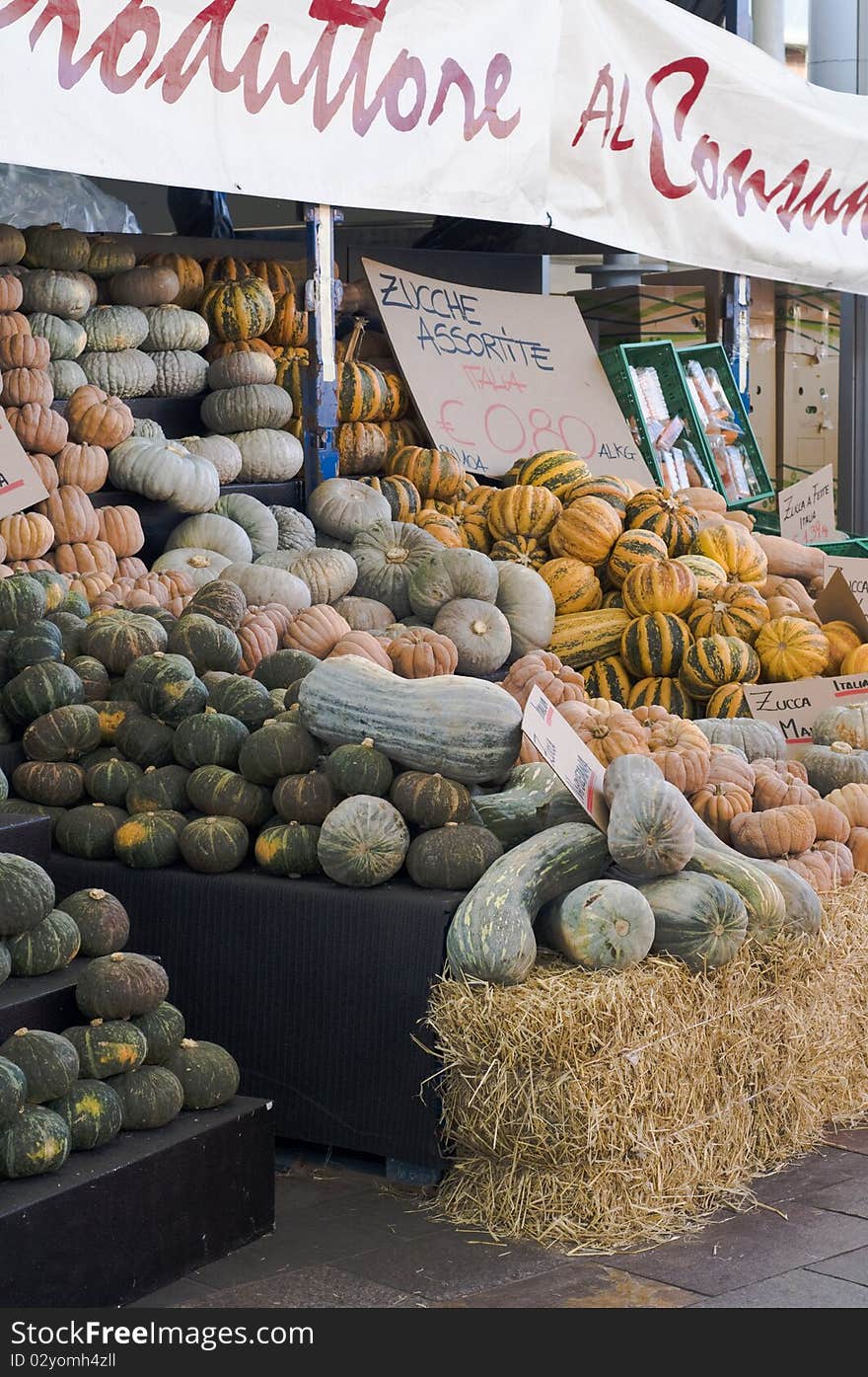 Stand of pumpkins