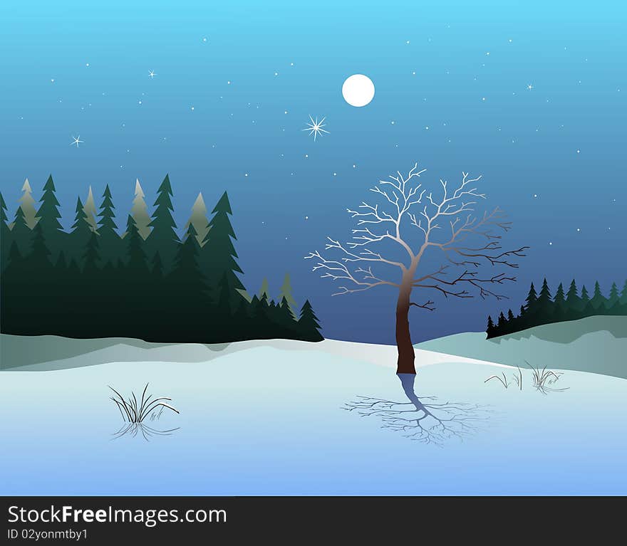 Winter night landscape with a silhouettes tree and forest. Winter night landscape with a silhouettes tree and forest