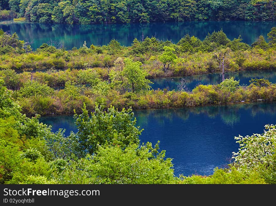 Lake and trees in jiuzhaigou secnic area