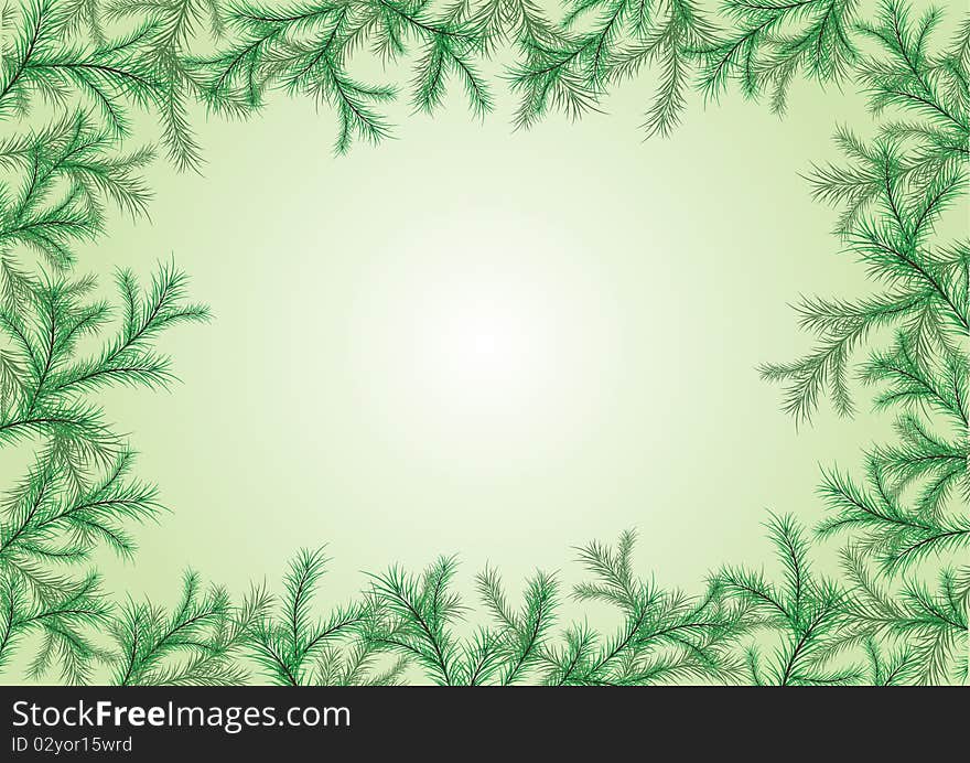 Spruce frame