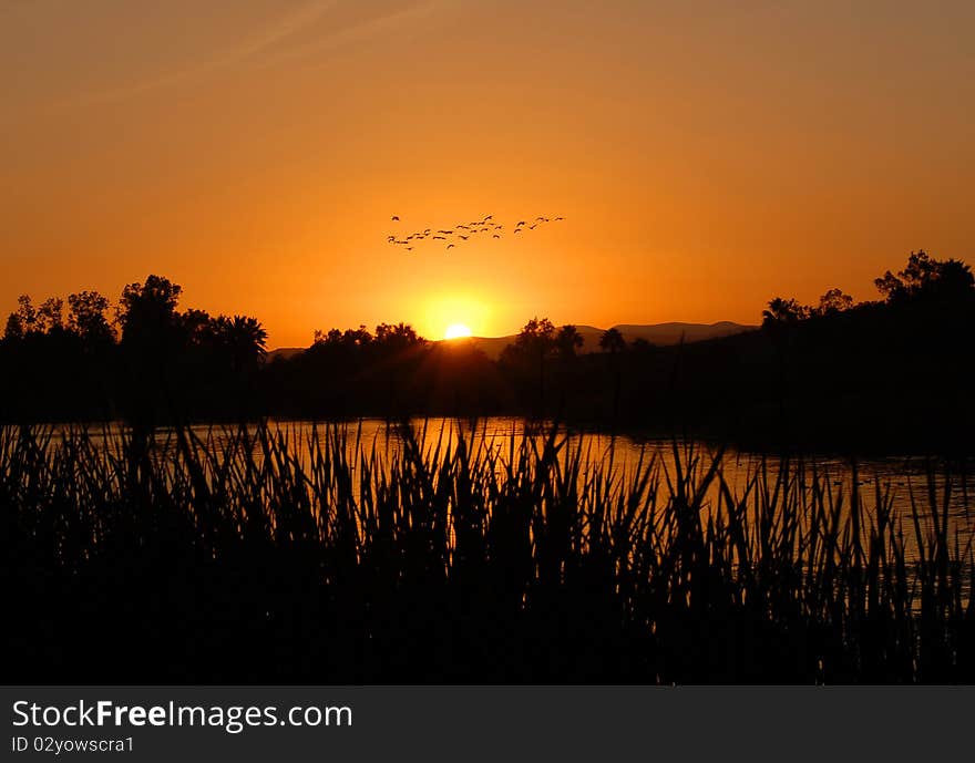 The sun slowly melted into the horizon ending a perfect day. The sun slowly melted into the horizon ending a perfect day.