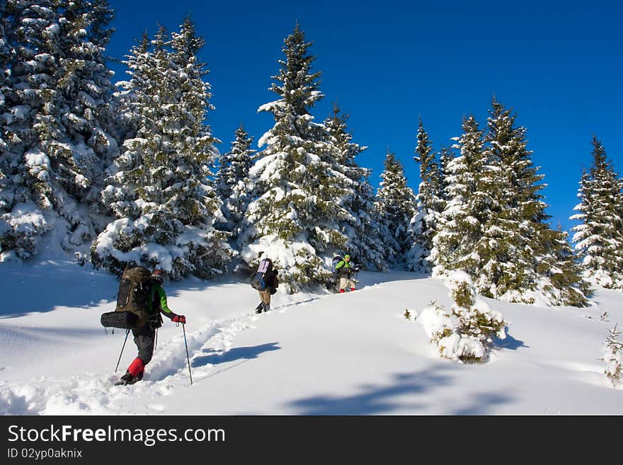 Hiker in winter in mountains