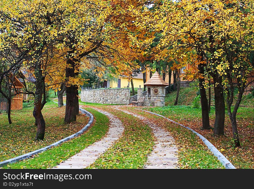 Autumn colors in a beautiful park