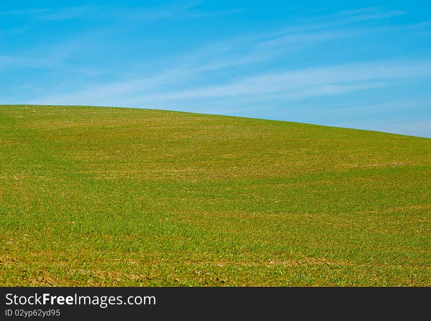 Nice autumn field with clear horizont and blue sky