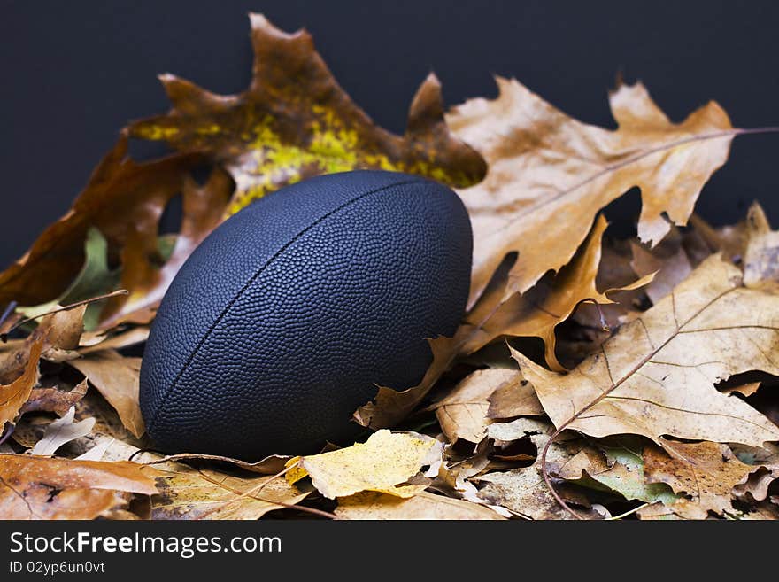 Football sits grandly in colorful autumn leaves, confident as one of autumn's favorite sports. Football sits grandly in colorful autumn leaves, confident as one of autumn's favorite sports