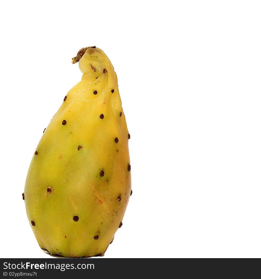 Prickly Pear