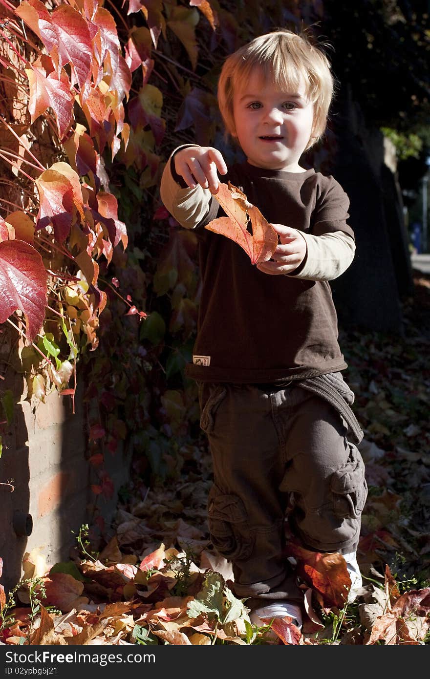 Little boy playing with autumn leaves