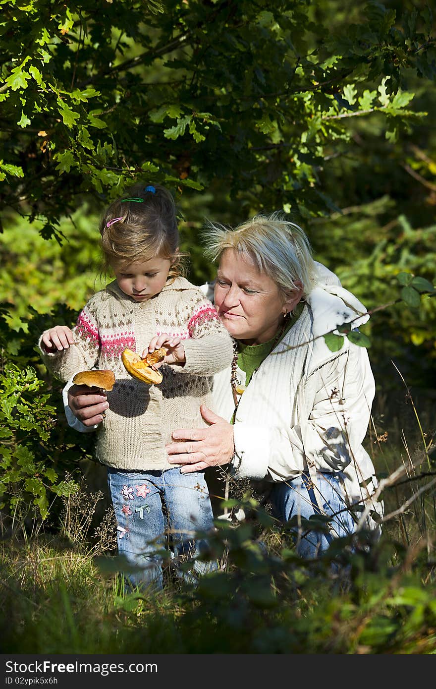 Grandmother and her granddaughter looking for nice mushrooms. Grandmother and her granddaughter looking for nice mushrooms