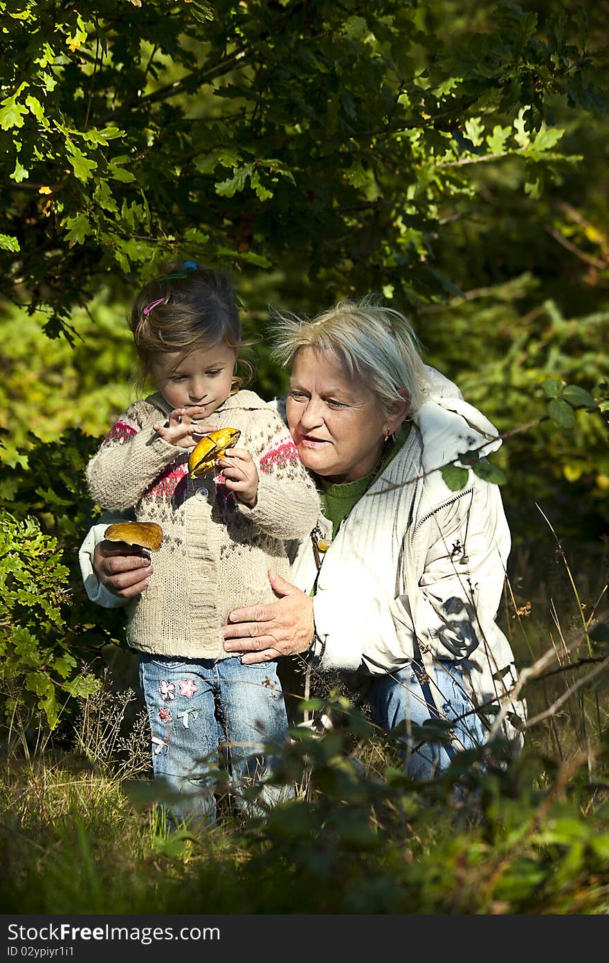 Grandmother and her granddaughter looking for nice mushrooms. Grandmother and her granddaughter looking for nice mushrooms