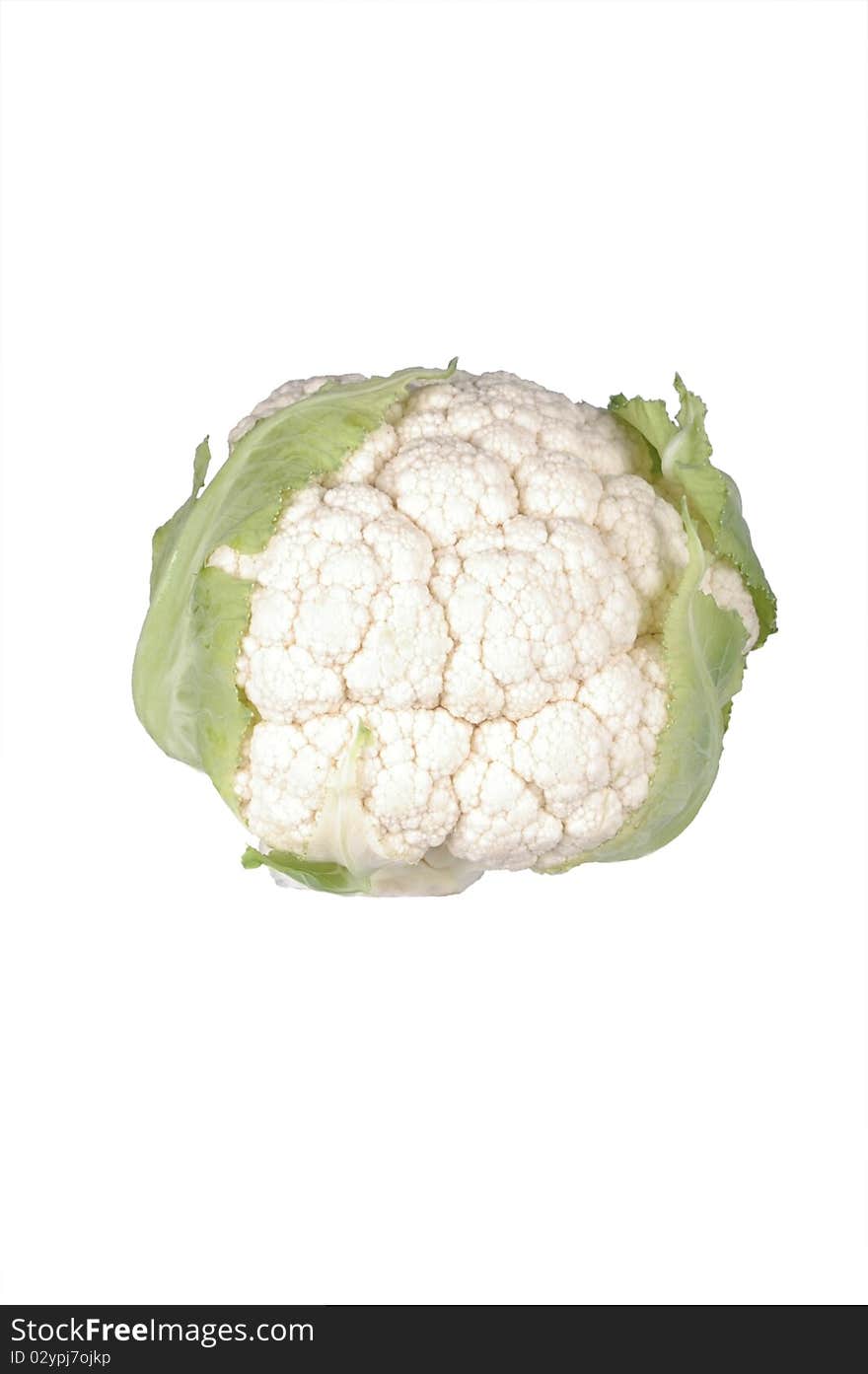 Cauliflower Isolated Over White