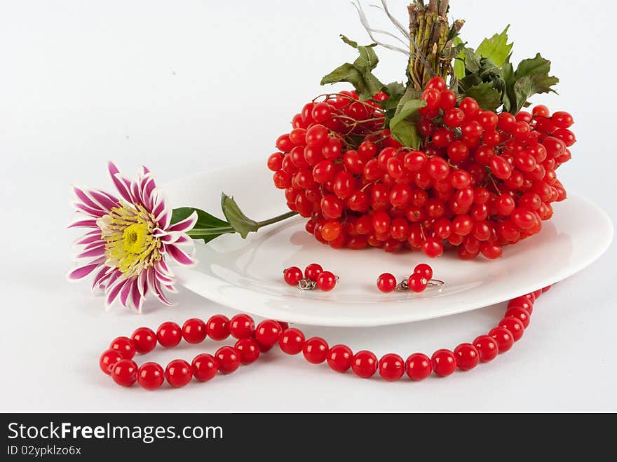 Autumn Still Life