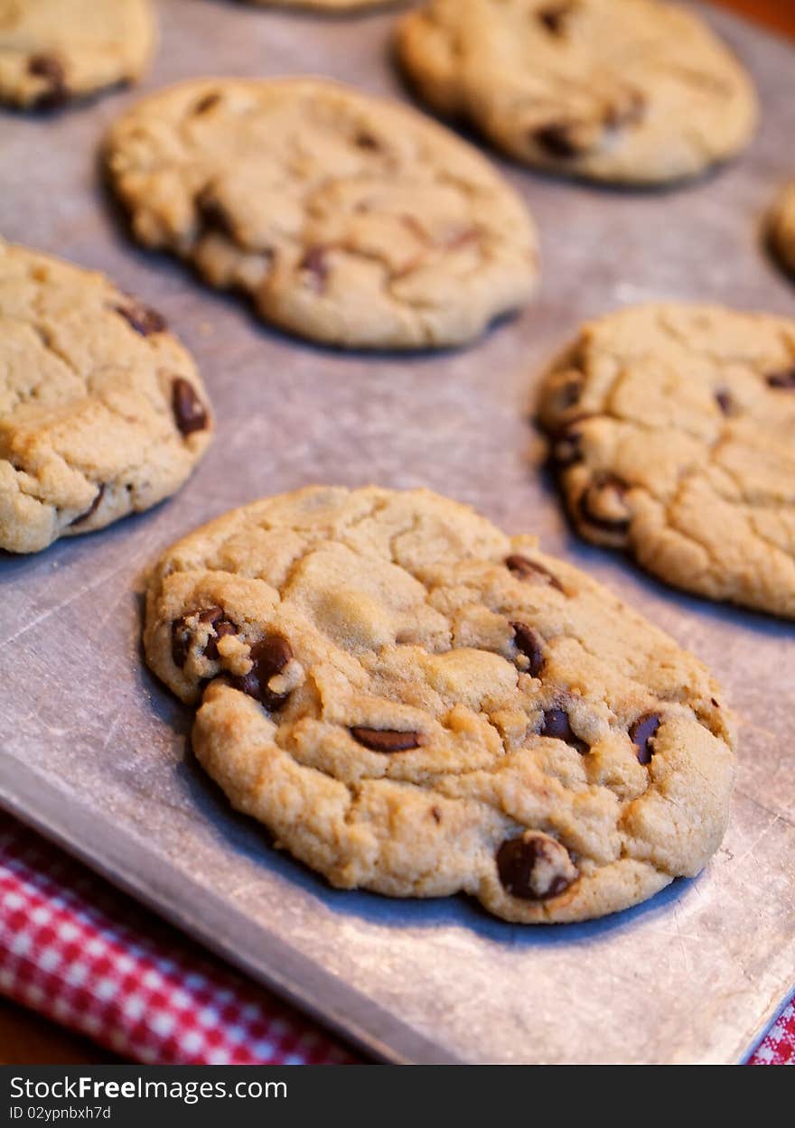 Chocolate chip cookies fresh from the oven. Chocolate chip cookies fresh from the oven