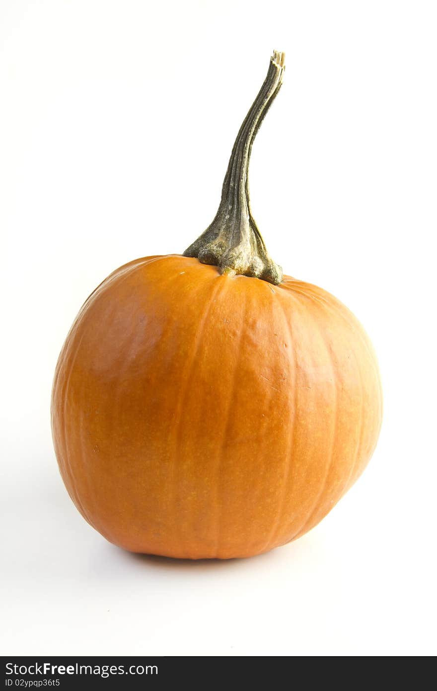 Pumpkin