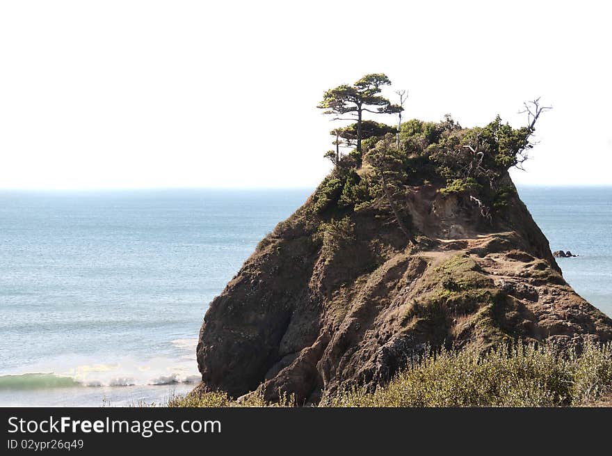 This is a large sea rock on the Oregon coast. It is climbable and has vegetation on the top, including a tree. This is a large sea rock on the Oregon coast. It is climbable and has vegetation on the top, including a tree.