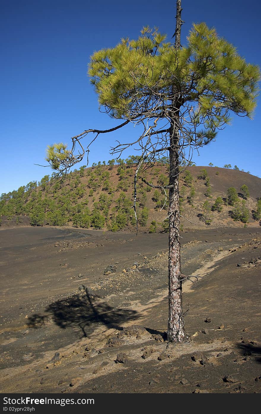 Tenerife Teide Nationalpark