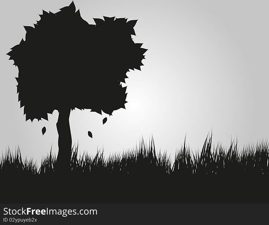 Black tree silhouette and grass.