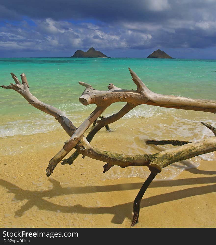 Taken on lanikai beach on a stormy...sunny day!. Taken on lanikai beach on a stormy...sunny day!