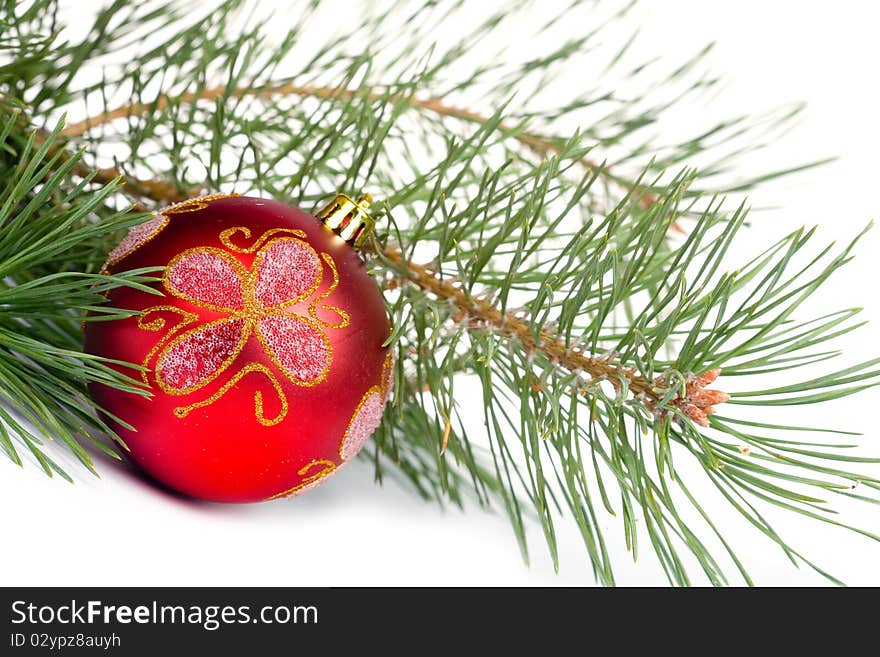 Red Christmas ball on a background of fir branch