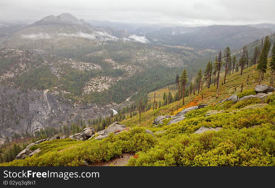 Alpine Landscape