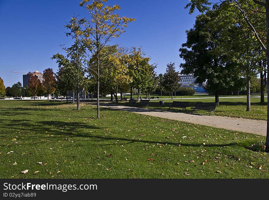 Park In Autumn