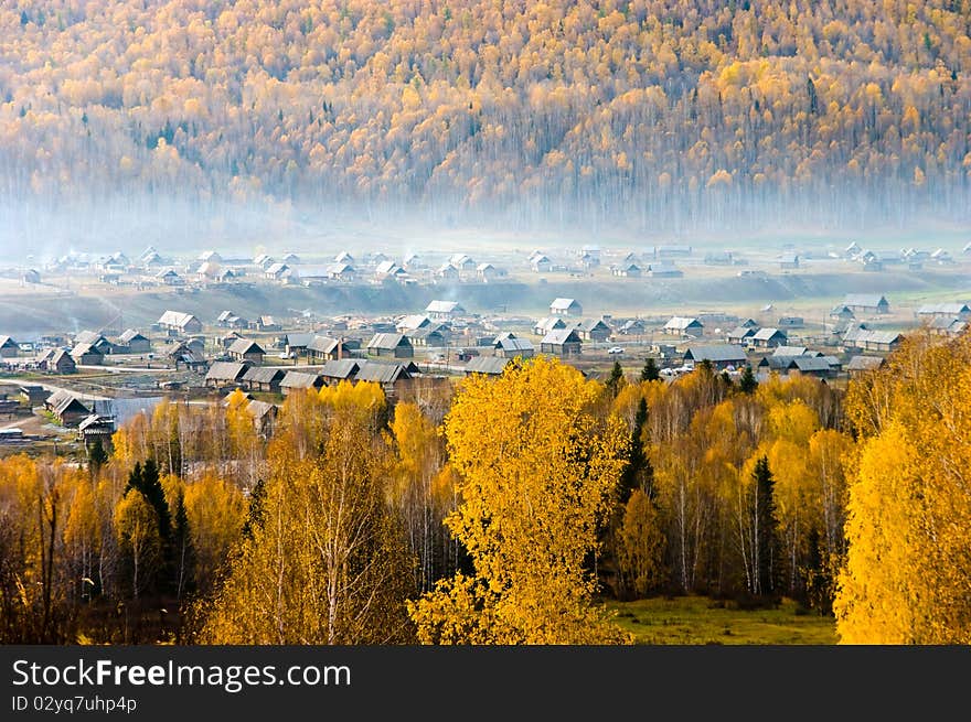 Villages of hemu embraced by forest in xinjiang,china. Villages of hemu embraced by forest in xinjiang,china