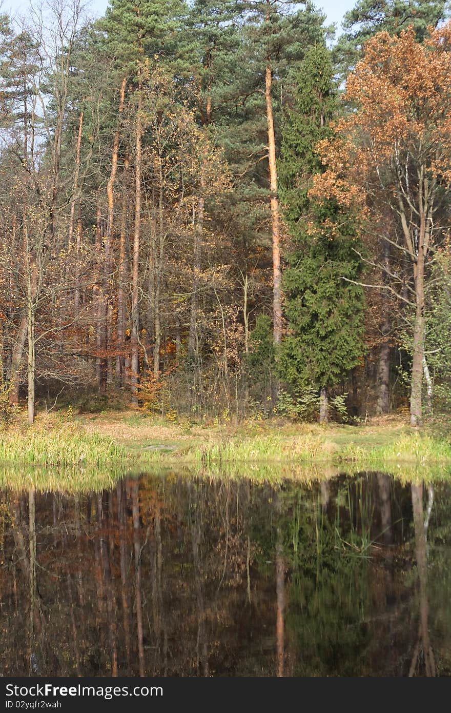 Autumn landscape with lake and forest