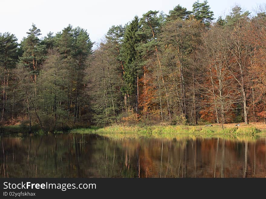 Autumn landscape with lake and forest