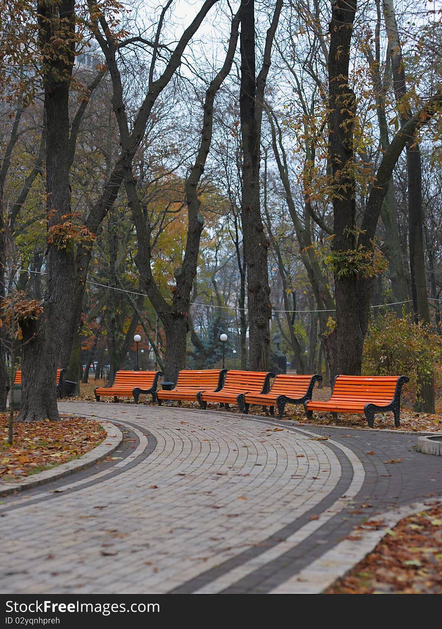 Benches in city park in the autumn