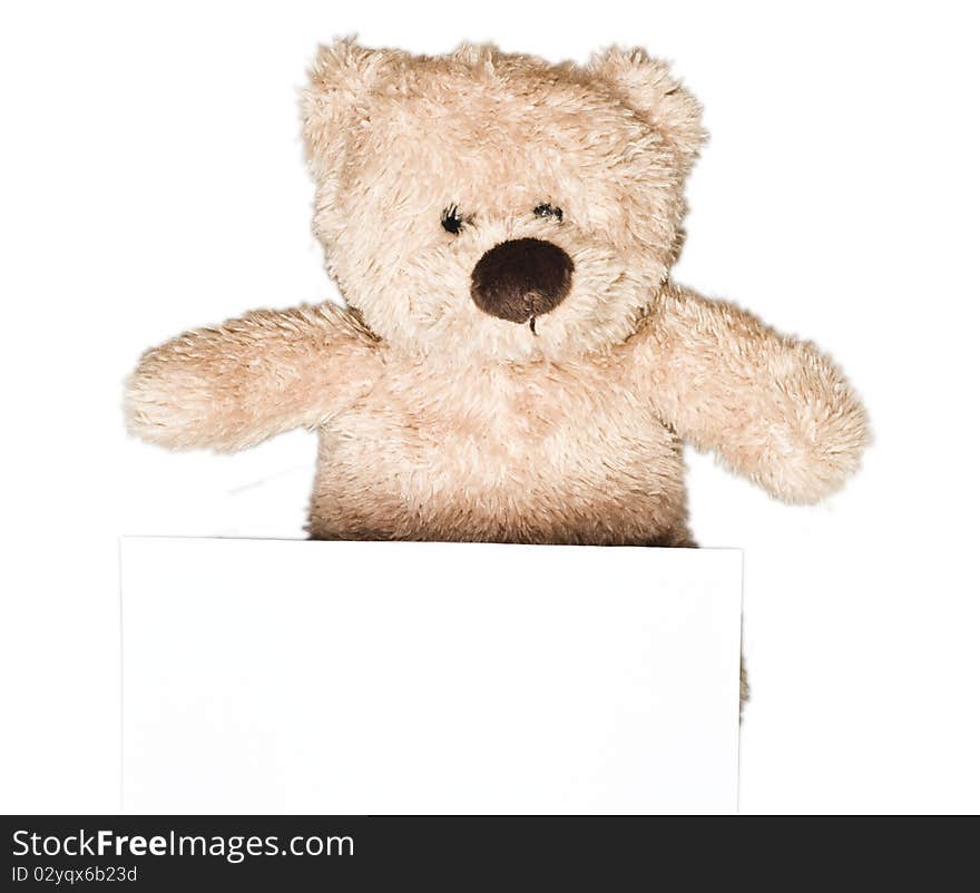 Lovely, cute teddy bear holding a sheet of paper