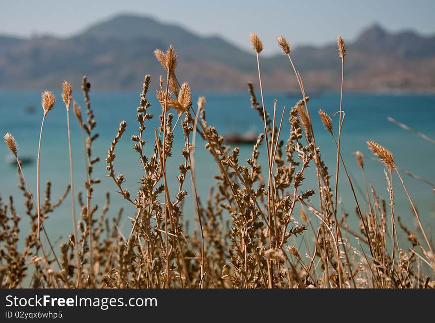 Black Sea coast in Crimea