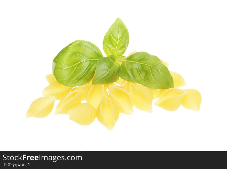 Conchiglie Pasta And Basil Against White