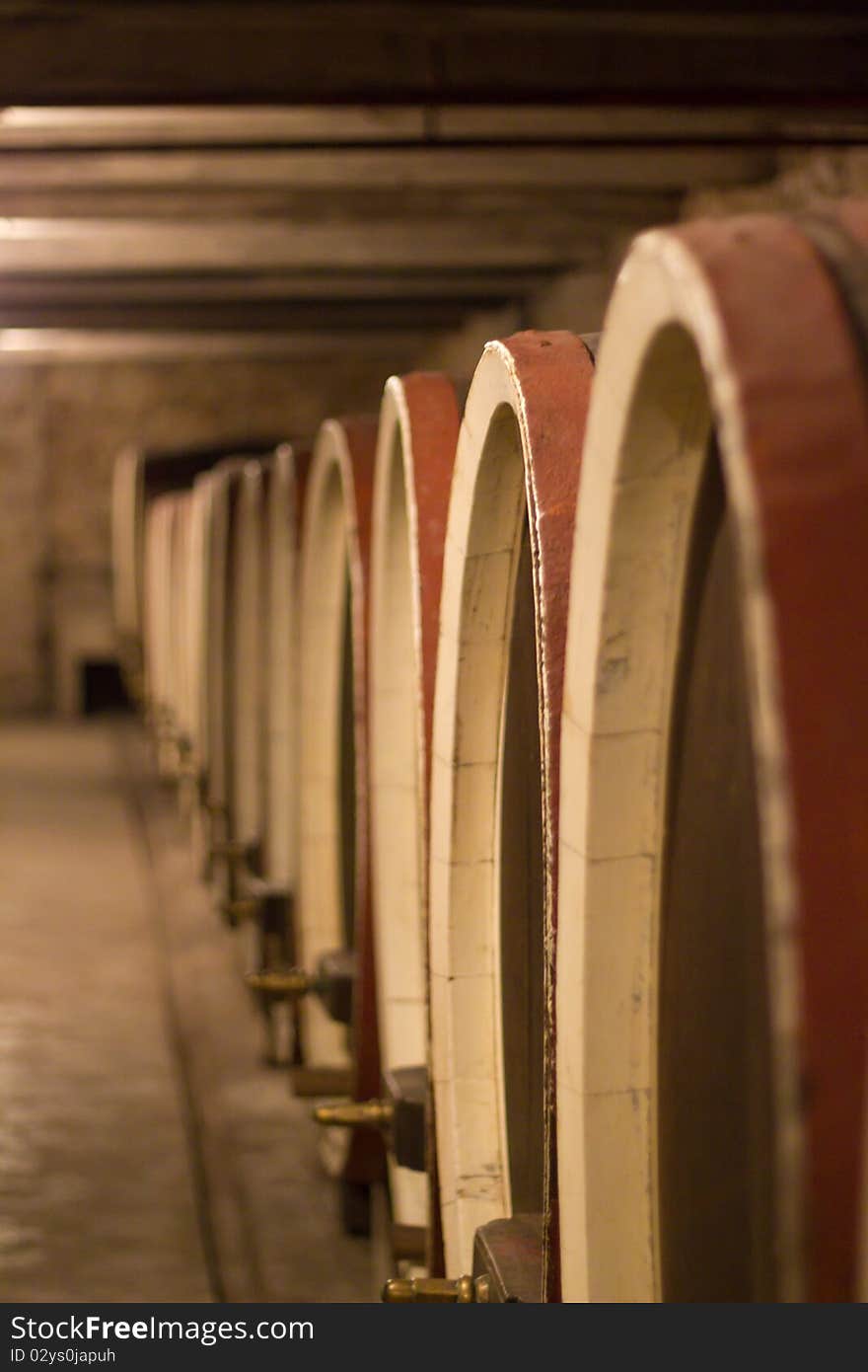 Barrels in a wine cellar