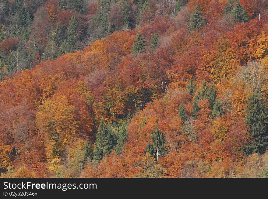 Autumn in Switzerland