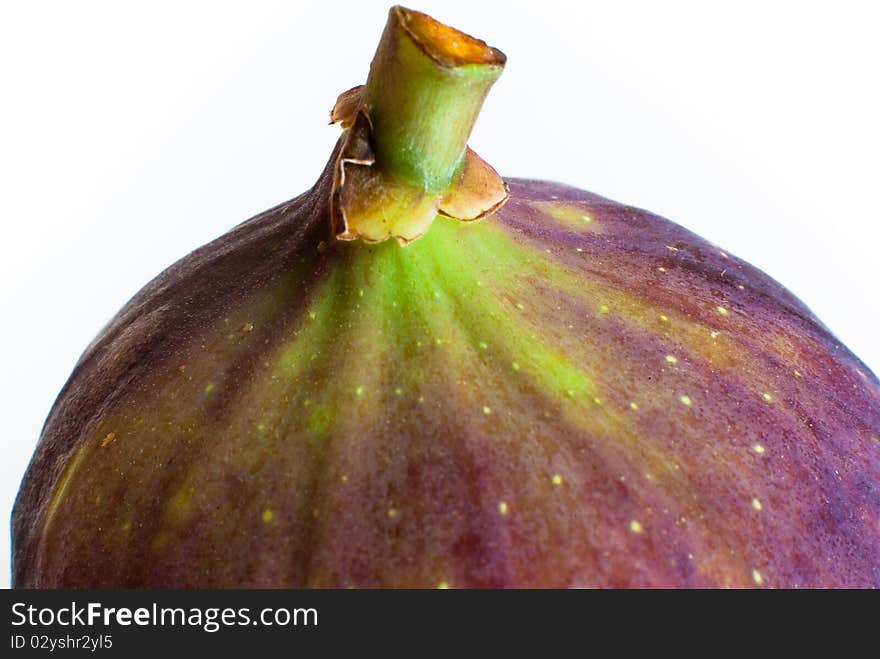 White Fig fruit photographed against white background