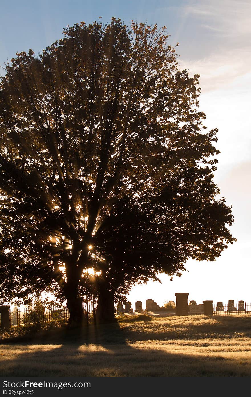 Sunbeams shine through a tree overlooking an old cemetery. Sunbeams shine through a tree overlooking an old cemetery.