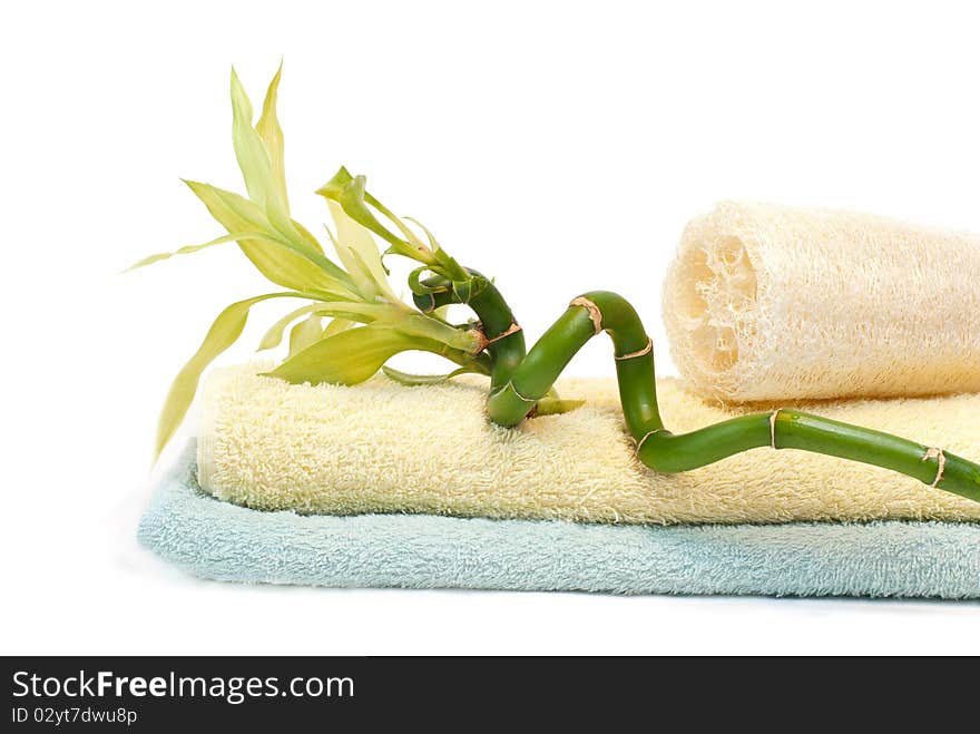 Loofah, bamboo and towels