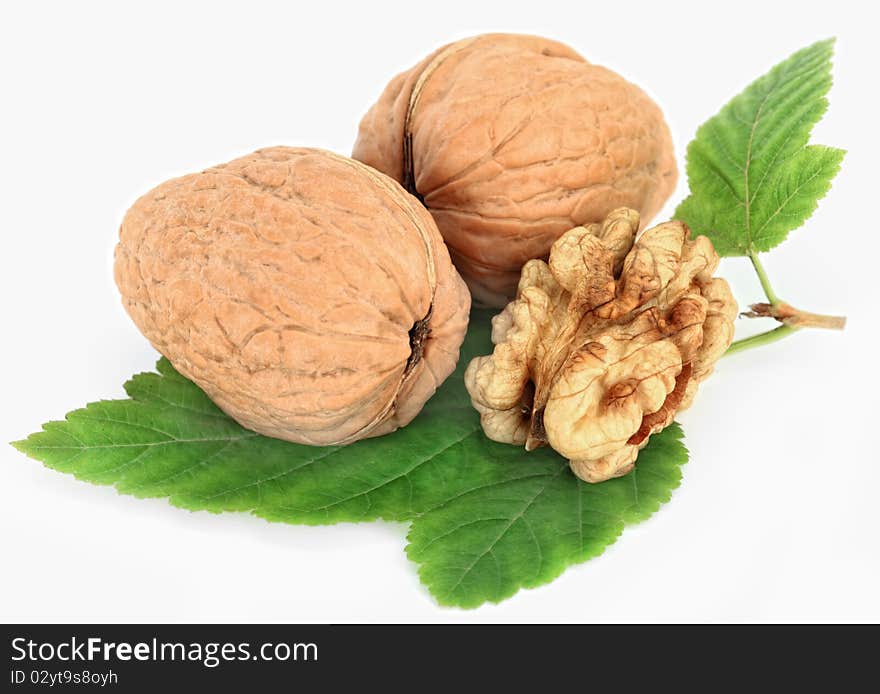 Walnut on white background mellow