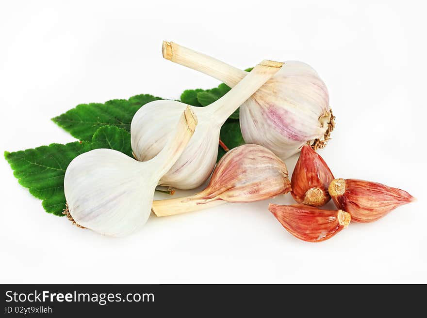 Garlic