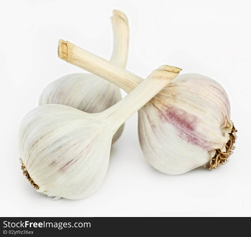 Mellow garlic on a white background