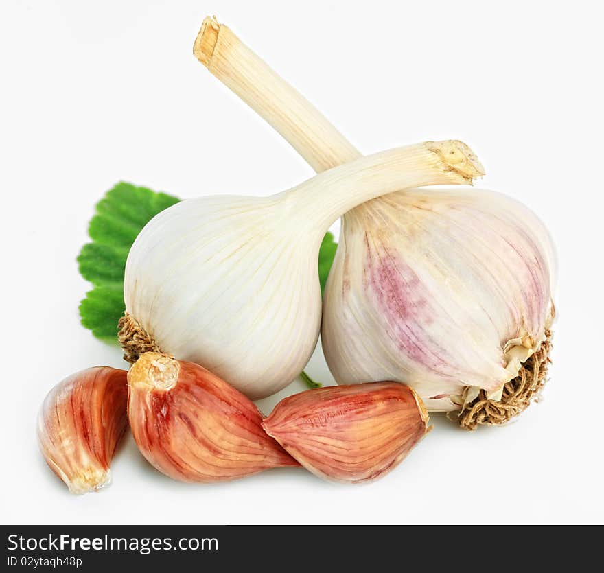 Mellow garlic on a white background