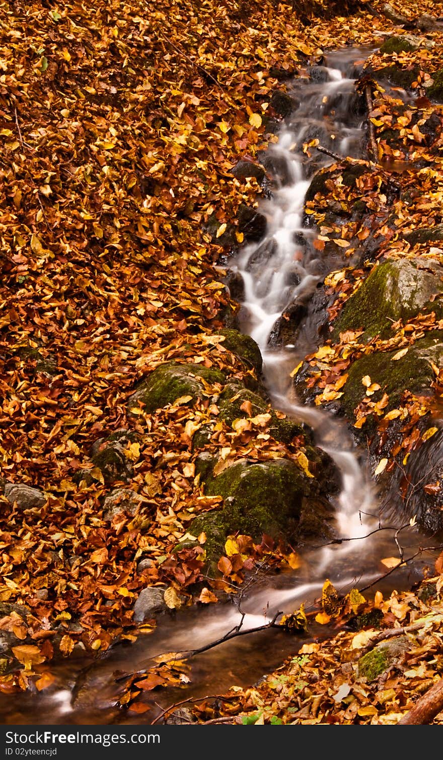 A small brook making its way through the forest floor seen in autumn colors. A small brook making its way through the forest floor seen in autumn colors