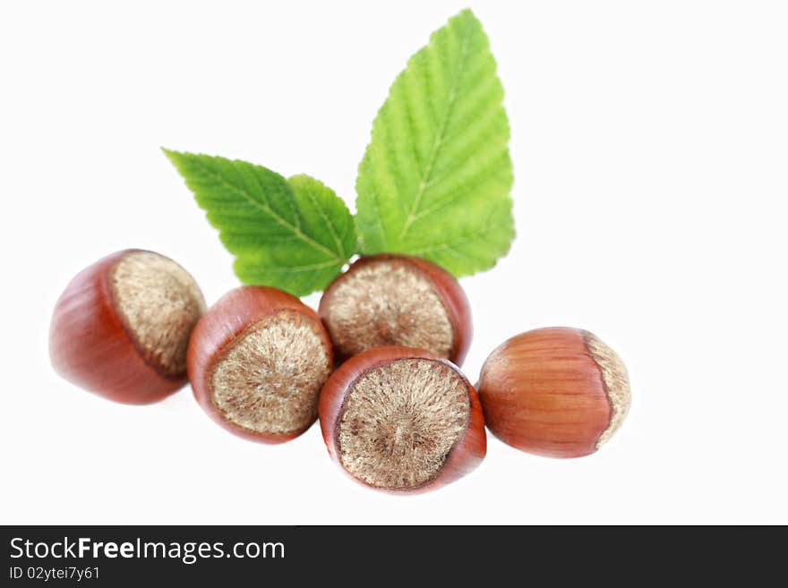 Hazelnuts on a white background mellow