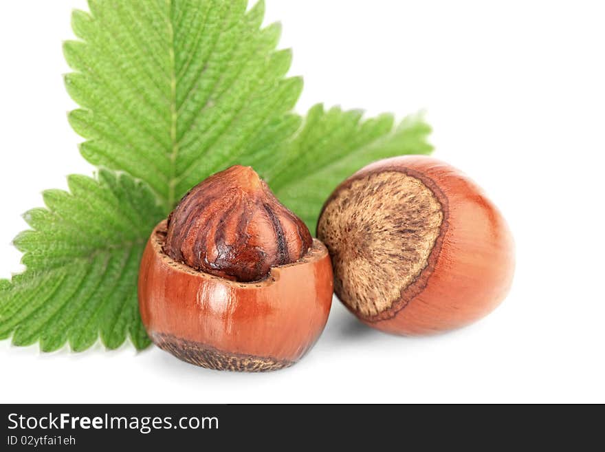 Hazelnuts on a white background mellow