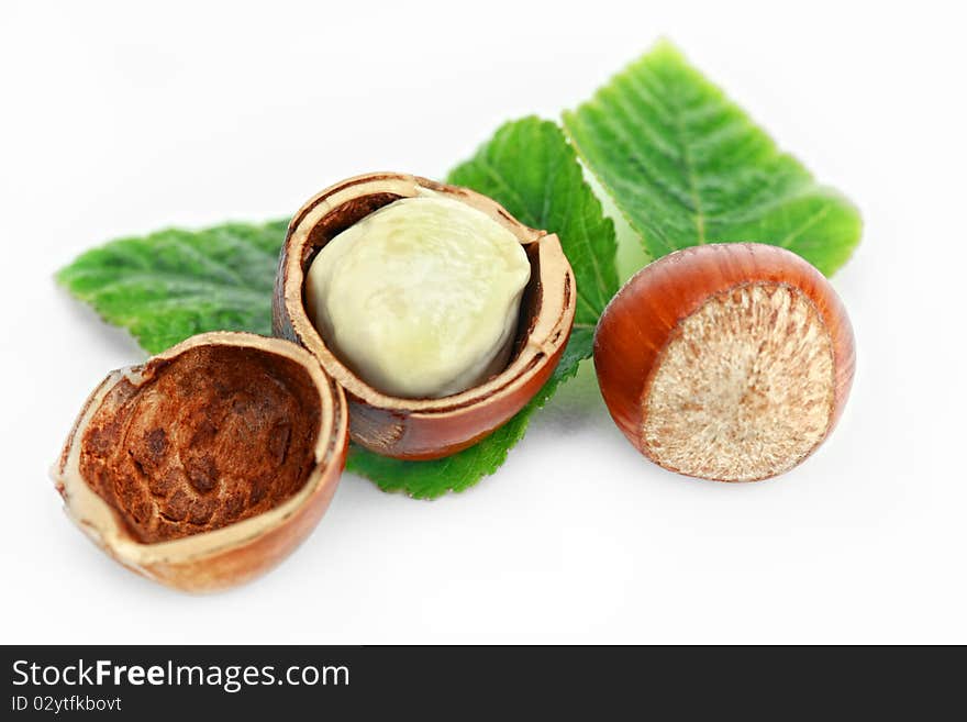 Hazelnuts on a white background mellow