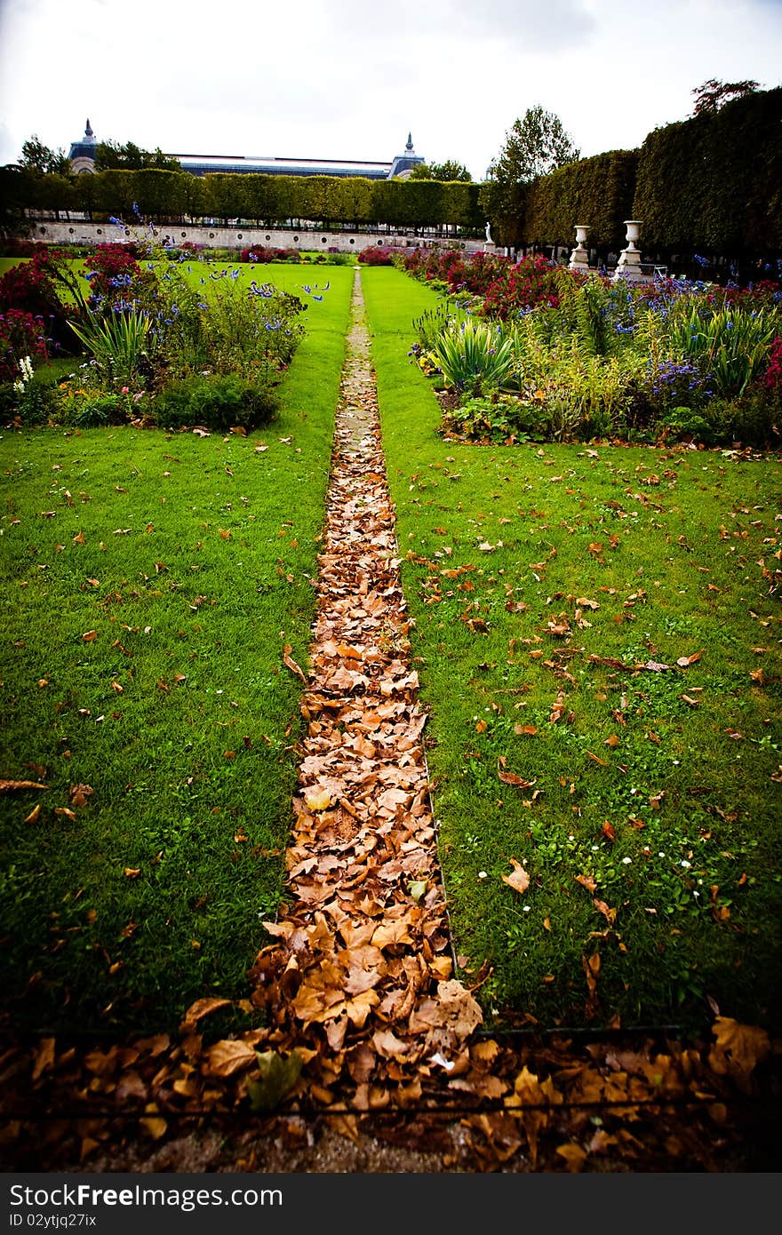 Road with leaves in autumn. Road with leaves in autumn