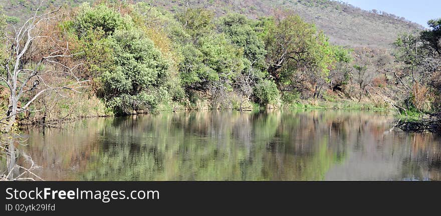 A panoramic image of a dam in the African wilderness.