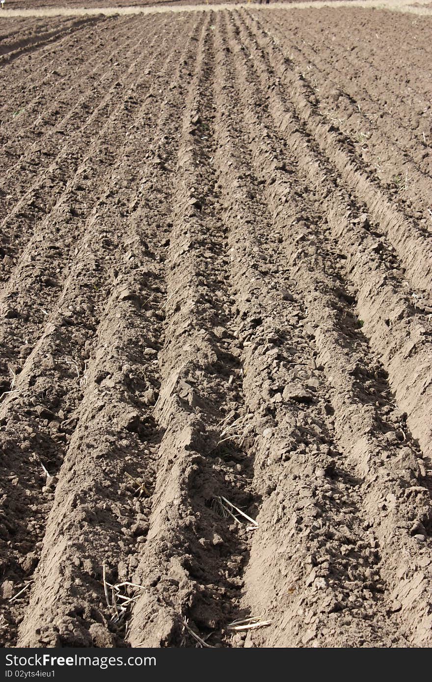 The Ploughed Furrows of a Farmers Field. The Ploughed Furrows of a Farmers Field.